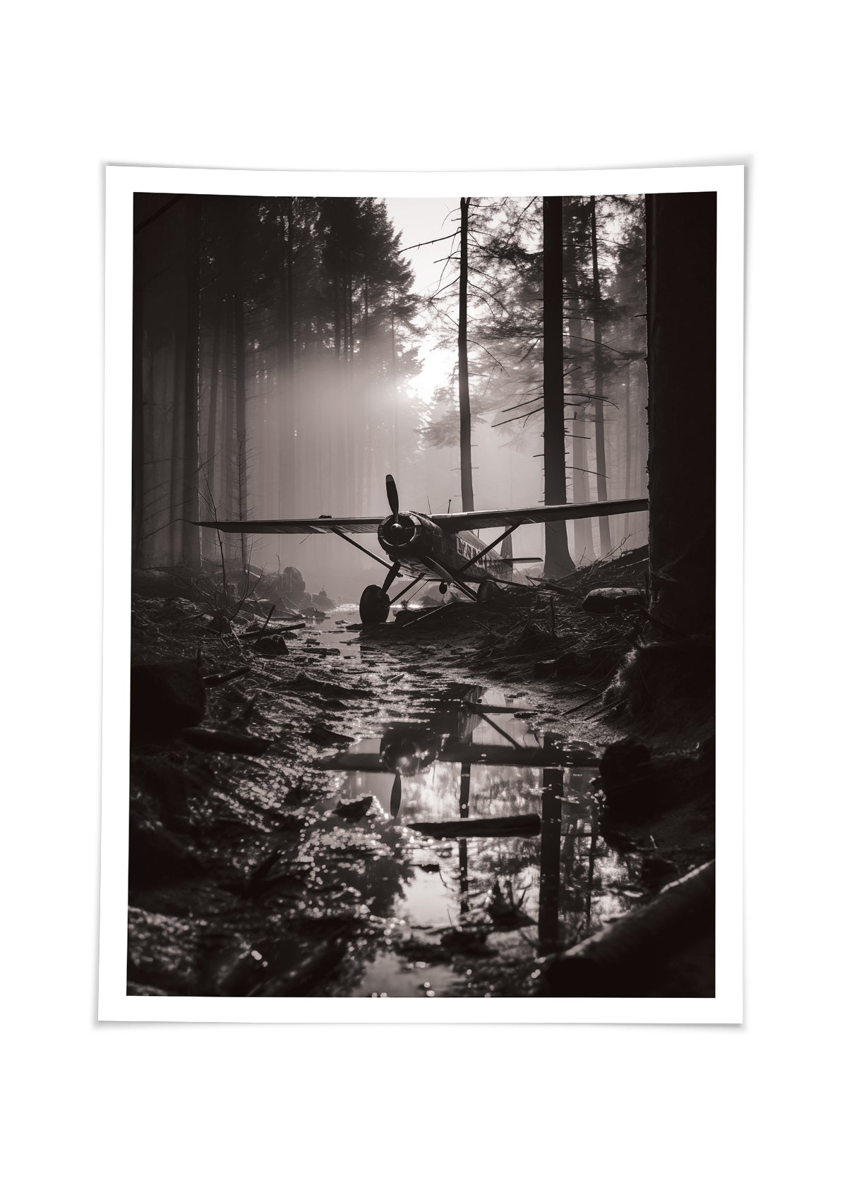 Forest plane Svartvit