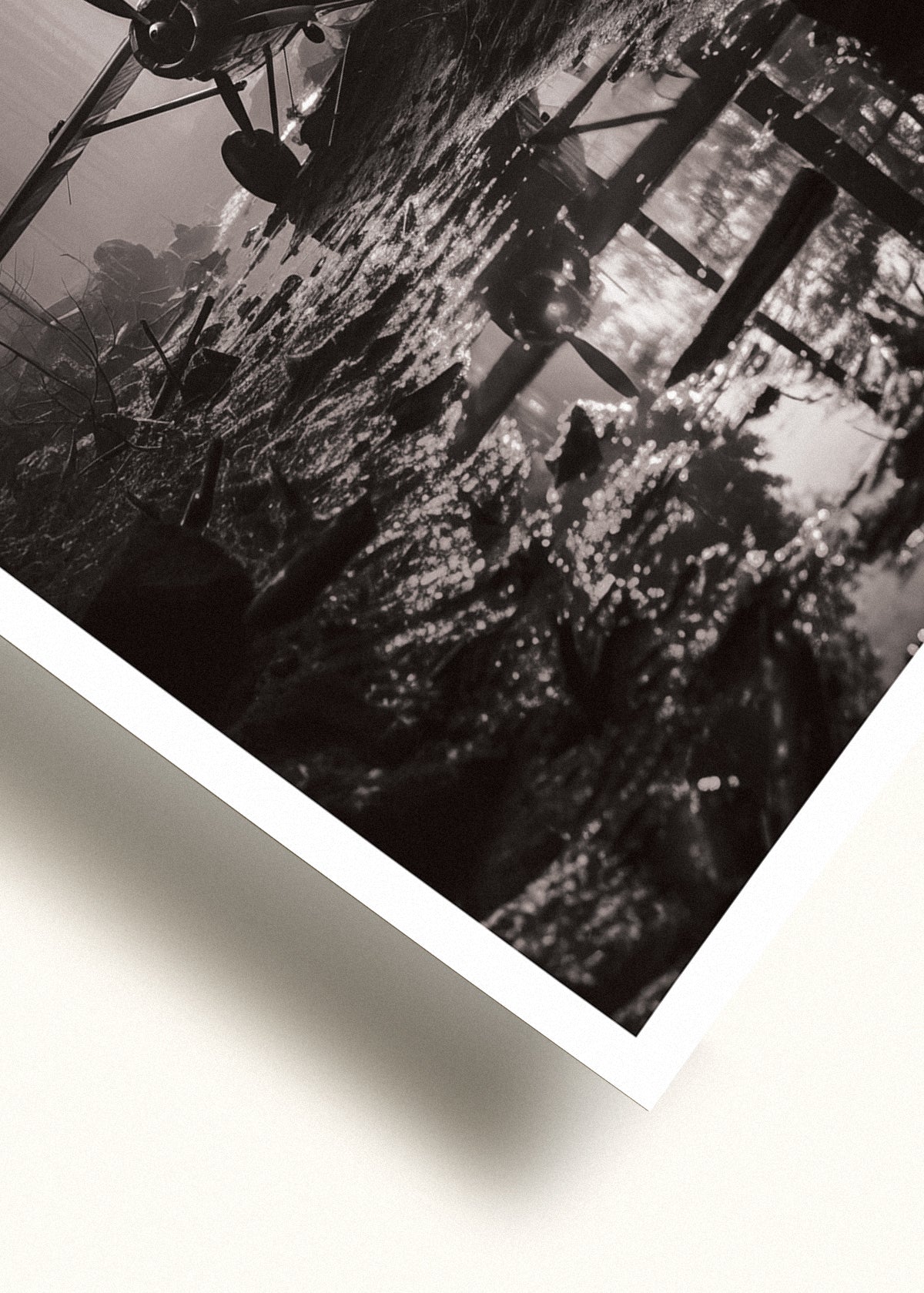 Forest plane Svartvit