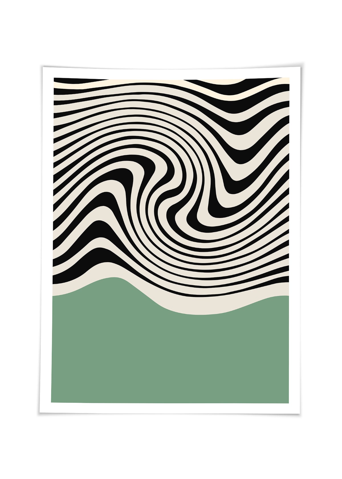 Bauhaus Zebra