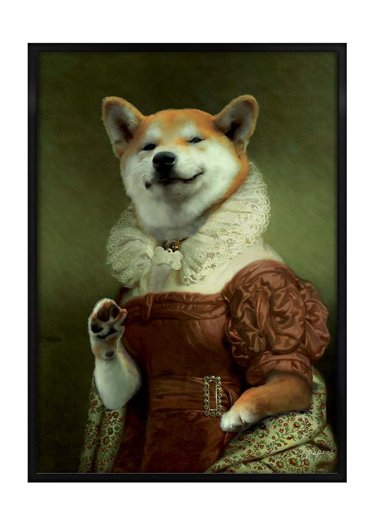 Baroque Shiba